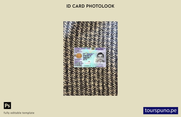 Plantilla FRONTAL lista para imprimir con foto de identificación de Suecia